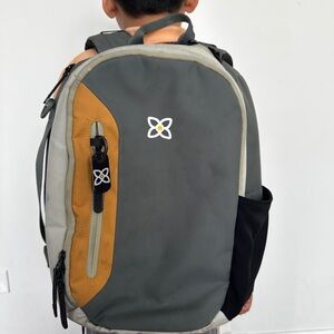 Sherpani Gray and Tan Bag with Modern Design